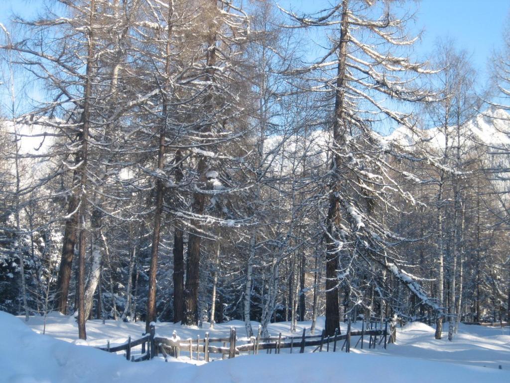 Haus Elisengrund Am Geigenbuehel - Chalet Prive Seefeld w Tirolu Zewnętrze zdjęcie